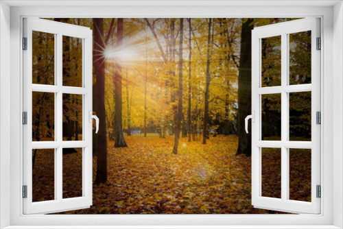 Fototapeta Naklejka Na Ścianę Okno 3D - Sunbeam light with Gloden Autumn season with Beautiful romantic alley in a park with colorful trees and sunlight. autumn natural background