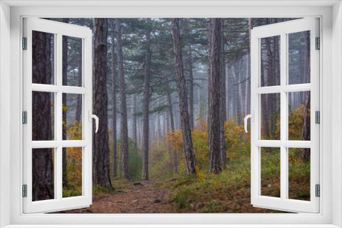 Fototapeta Naklejka Na Ścianę Okno 3D - colorful autumn forest in the mist