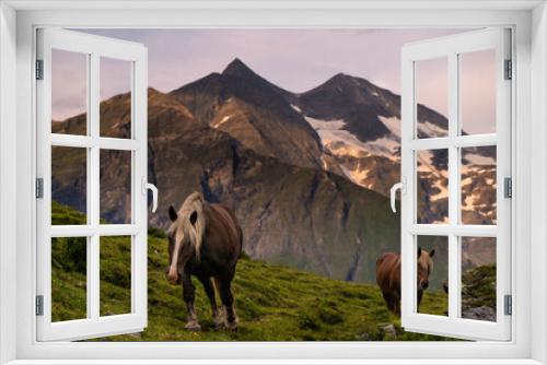 Fototapeta Naklejka Na Ścianę Okno 3D - Dzikie konie