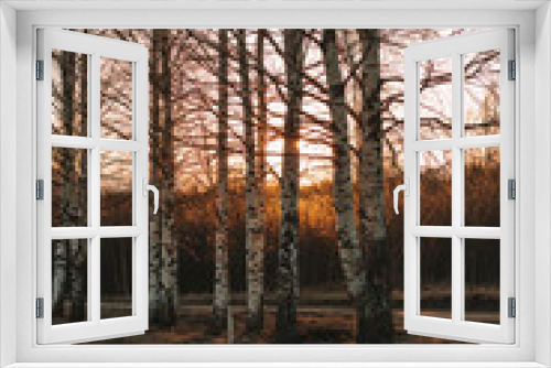 Fototapeta Naklejka Na Ścianę Okno 3D - sunset in the forest