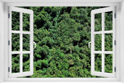 Fototapeta Naklejka Na Ścianę Okno 3D - Top aerial view of a densely packed forest canopy under sunny light