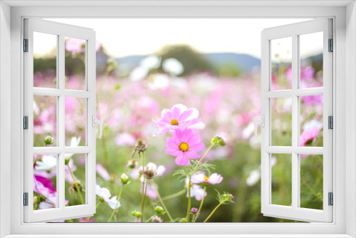Fototapeta Naklejka Na Ścianę Okno 3D - flowers in the meadow