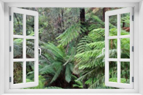 Fototapeta Naklejka Na Ścianę Okno 3D - Temperate Rainforest