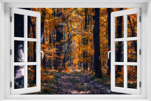Fototapeta Naklejka Na Ścianę Okno 3D - colorful path in autumn forest