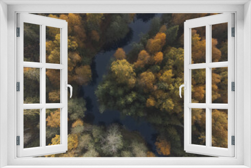 Fototapeta Naklejka Na Ścianę Okno 3D - Autumn colors in a beautiful forest. Air view. Winding river.