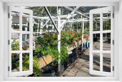 Fototapeta Naklejka Na Ścianę Okno 3D - greenhouse with plants
