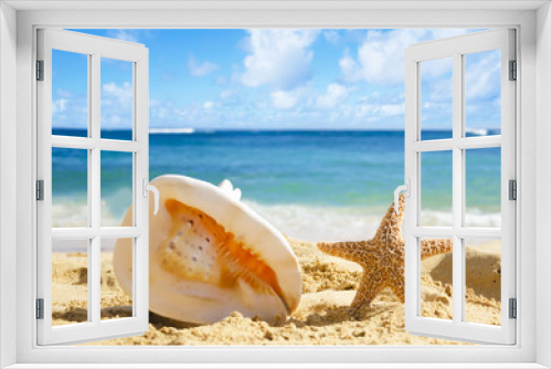 Fototapeta Naklejka Na Ścianę Okno 3D - Seashell and starfish on sandy beach