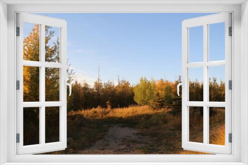 Fototapeta Naklejka Na Ścianę Okno 3D - autumn in the woods, Pylypow Wetlands, Edmonton, Alberta