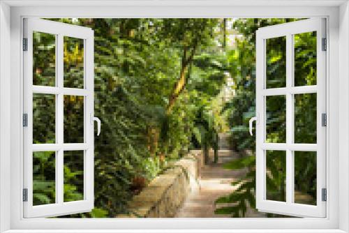 Fototapeta Naklejka Na Ścianę Okno 3D - green tropical greenhouse