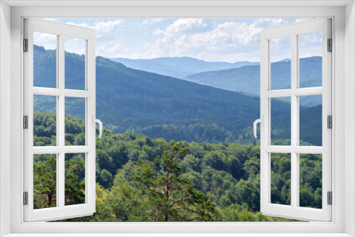 Summer mountains landscape. Panorama of thick wood of evergreen trees growing on mountain ridges