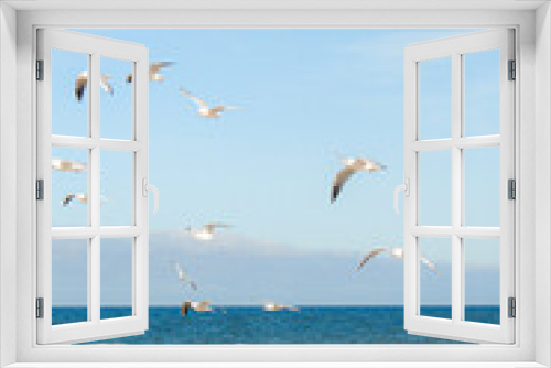 Fototapeta Naklejka Na Ścianę Okno 3D - Birds flying