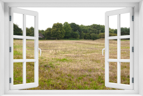Fototapeta Naklejka Na Ścianę Okno 3D - House next to a field of grass