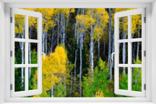 Fototapeta Naklejka Na Ścianę Okno 3D - Mountainside Wilderness Forest of Fall Aspen Trees Golden and Green Colors Autumn