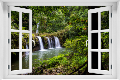 Fototapeta Naklejka Na Ścianę Okno 3D - tropical rainforest waterfall in the atherton tablelands in queensland, australia; hidden gems of australia; hiking in the australian rainforest
