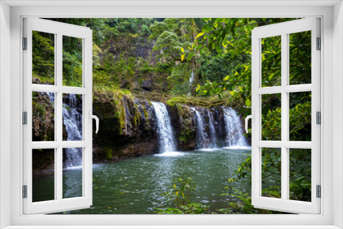 Fototapeta Naklejka Na Ścianę Okno 3D - tropical rainforest waterfall in the atherton tablelands in queensland, australia; hidden gems of australia; hiking in the australian rainforest