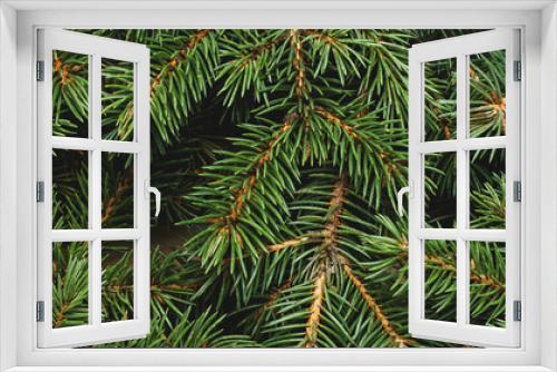 Fototapeta Naklejka Na Ścianę Okno 3D - Christmas tree, branches. Christmas, New Year. Wallpaper. Banner. Flat lay, top view