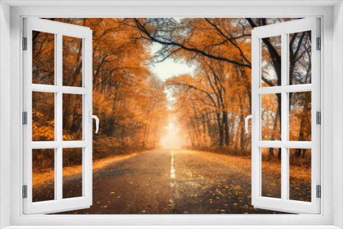 Fototapeta Naklejka Na Ścianę Okno 3D - Red forest in fog with country road at sunset in autumn in Ukraine. Colorful landscape with road in tunnel of foggy trees, orange leaves in fall. Autumn colors. Woods with vibrant foliage and sunlight