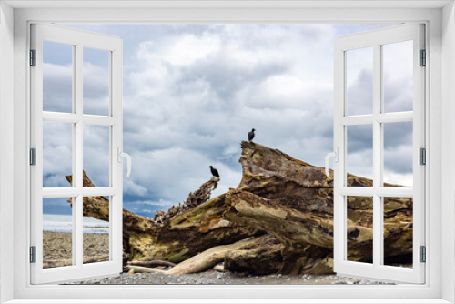 Fototapeta Naklejka Na Ścianę Okno 3D - Two Vultures on Beach