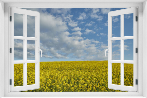 Fototapeta Naklejka Na Ścianę Okno 3D - Yellow Fields