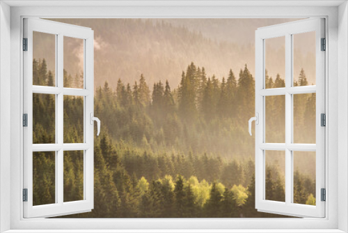 Fototapeta Naklejka Na Ścianę Okno 3D - Isolated mountain pine forest landscape