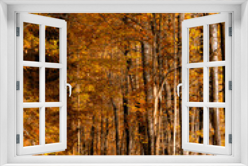 Fototapeta Naklejka Na Ścianę Okno 3D - Road in the autumn forest.