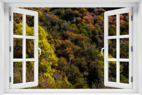 Fototapeta Naklejka Na Ścianę Okno 3D - autumn colors in the mountains