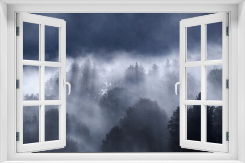 Fototapeta Naklejka Na Ścianę Okno 3D - Foggy Forest