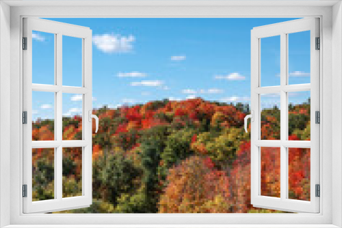 Fototapeta Naklejka Na Ścianę Okno 3D - fall colors in the mountains