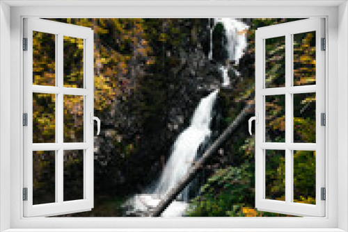 Fototapeta Naklejka Na Ścianę Okno 3D - Vertical photo of wooden tree trunk crossing the waterfall in autumn forest (mountains). Waterfall in season with smooth streaming  - colorful plants on foreground.