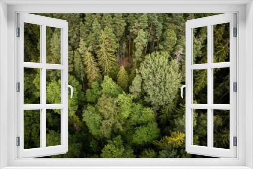Fototapeta Naklejka Na Ścianę Okno 3D - Drone aerial shot of green pine forests and spring birch groves with beautiful texture of golden treetops. Sunrise in springtime. Sun rays breaking through trees in mountains in golden time