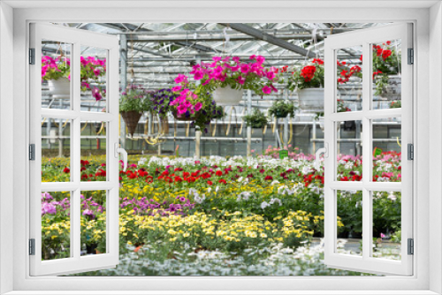 Fototapeta Naklejka Na Ścianę Okno 3D - Blumenvielfalt in der Gärtnerei