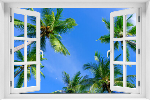 Fototapeta Naklejka Na Ścianę Okno 3D - Coconut palm trees view from below and sky background in tropical beach Thailand