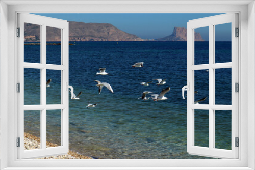 Fototapeta Naklejka Na Ścianę Okno 3D - Seagulls on the Mediterranean coast, pebble beach, blue sea, clear water, beautiful seascape, Altea, Spain