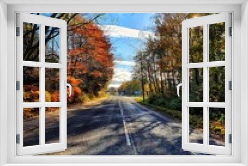 Fototapeta Naklejka Na Ścianę Okno 3D - Color of Autumn