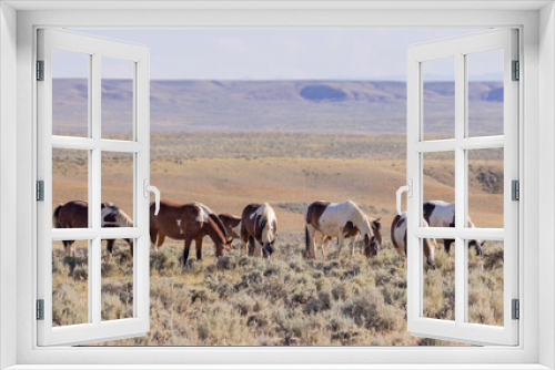 Fototapeta Naklejka Na Ścianę Okno 3D - Beautiful Wild Horses in Summer in the Wyoming Desert