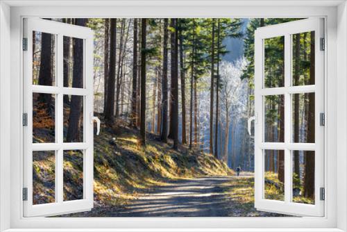 Fototapeta Naklejka Na Ścianę Okno 3D - Relaks w leśnym krajobrazie