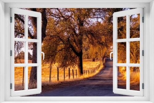 Fototapeta Naklejka Na Ścianę Okno 3D - Rural Road in autumn