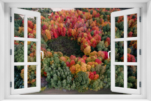 Fototapeta Naklejka Na Ścianę Okno 3D - Fall colors in Michigan