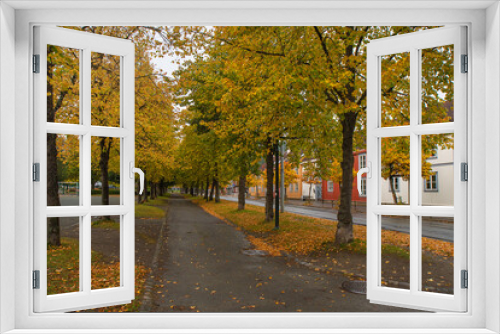 Fototapeta Naklejka Na Ścianę Okno 3D - Autumn in the park. Ila, Trondheim, Norway.