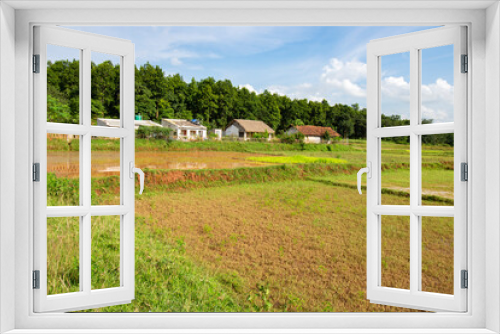 Fototapeta Naklejka Na Ścianę Okno 3D - A beautiful rural home of Jhargram West Bengal with flowers in foreground and blue sky and white clouds in background. Rural village house of India.