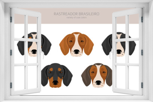 Fototapeta Naklejka Na Ścianę Okno 3D - Rastreador Brasileiro clipart. All coat colors set.  All dog breeds characteristics infographic