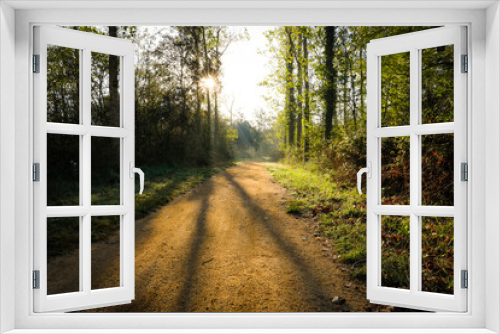 Fototapeta Naklejka Na Ścianę Okno 3D - Pista forestal (camino carretera) en un bosque al amanecer con el sol entre los árboles