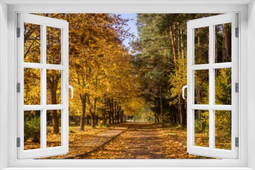 Fototapeta Naklejka Na Ścianę Okno 3D - Bench in autumn park. Autumn landscape