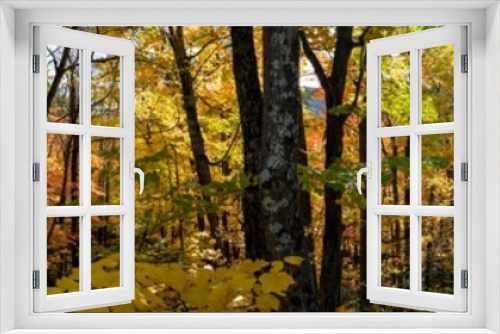 Fototapeta Naklejka Na Ścianę Okno 3D - Panoramic view of a forest in autumn in the Adirondacks mountains