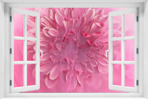 Fototapeta Naklejka Na Ścianę Okno 3D - Beautiful pink chrysanthemum flower with flowing liquid, underwater, close-up