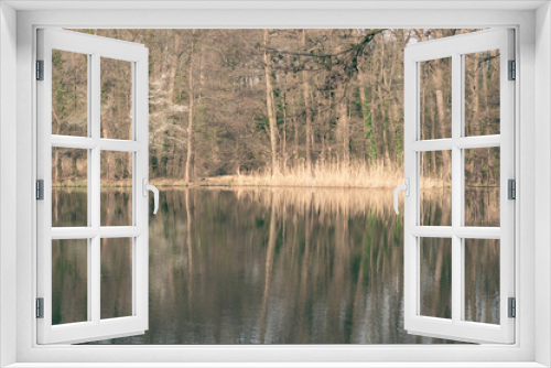 Fototapeta Naklejka Na Ścianę Okno 3D - Lake among the forest overgrown with reeds, bushes and trees, colorful autumn