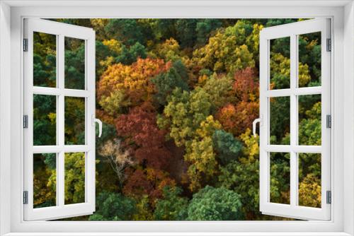 Fototapeta Naklejka Na Ścianę Okno 3D - Beautiful aerial fall trees. Top down view on autumn deciduous forest in yellow and orange colors. Aerial view of forest during calm autumn day. Colourful autumn colours in forest spits
