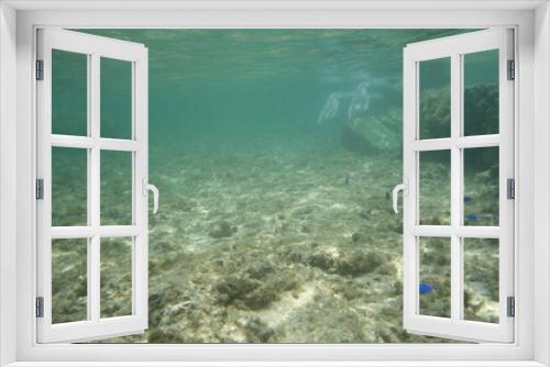 Fototapeta Naklejka Na Ścianę Okno 3D - 鳩間島のサンゴ礁