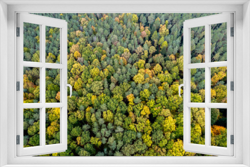 Fototapeta Naklejka Na Ścianę Okno 3D - Colourful autumn forest form above, captured with a drone. Natural seasonal landscape background.