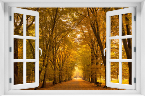 Fototapeta Naklejka Na Ścianę Okno 3D - Jesienny krajobraz w parku